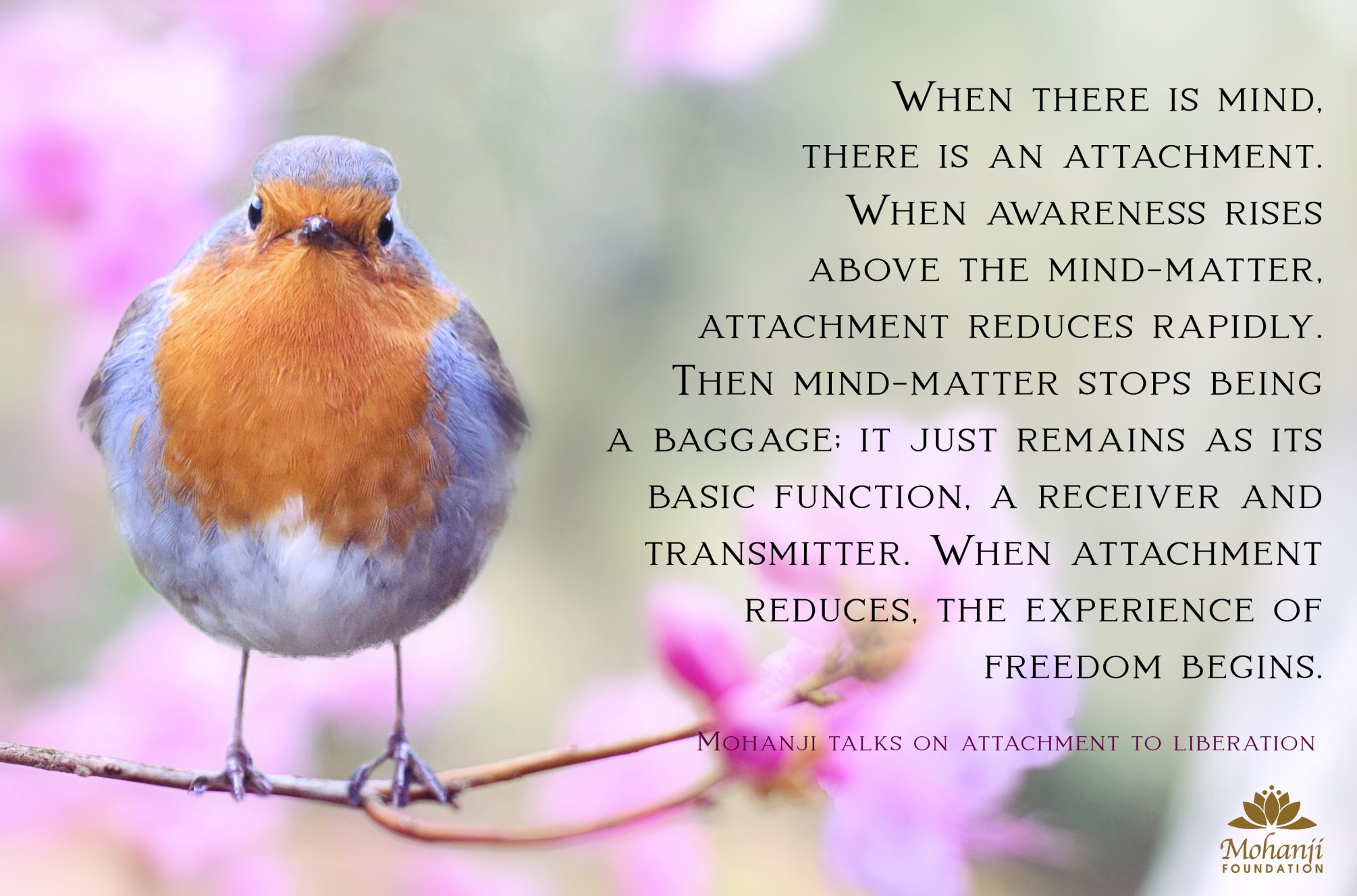 Mohanji quote - Attachment to liberation