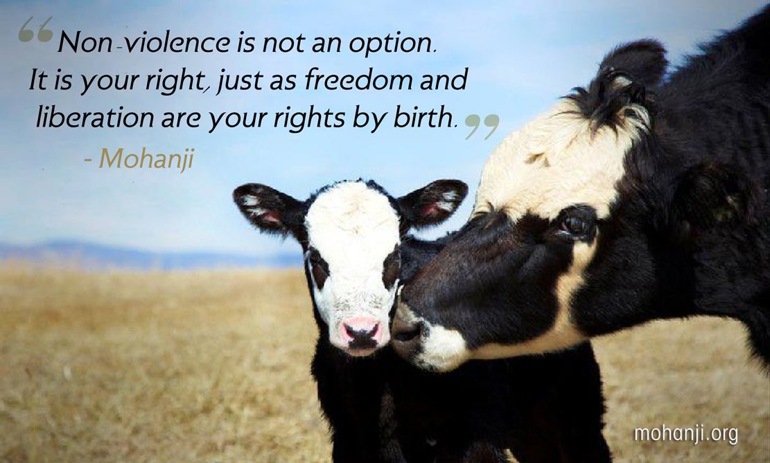 non violence