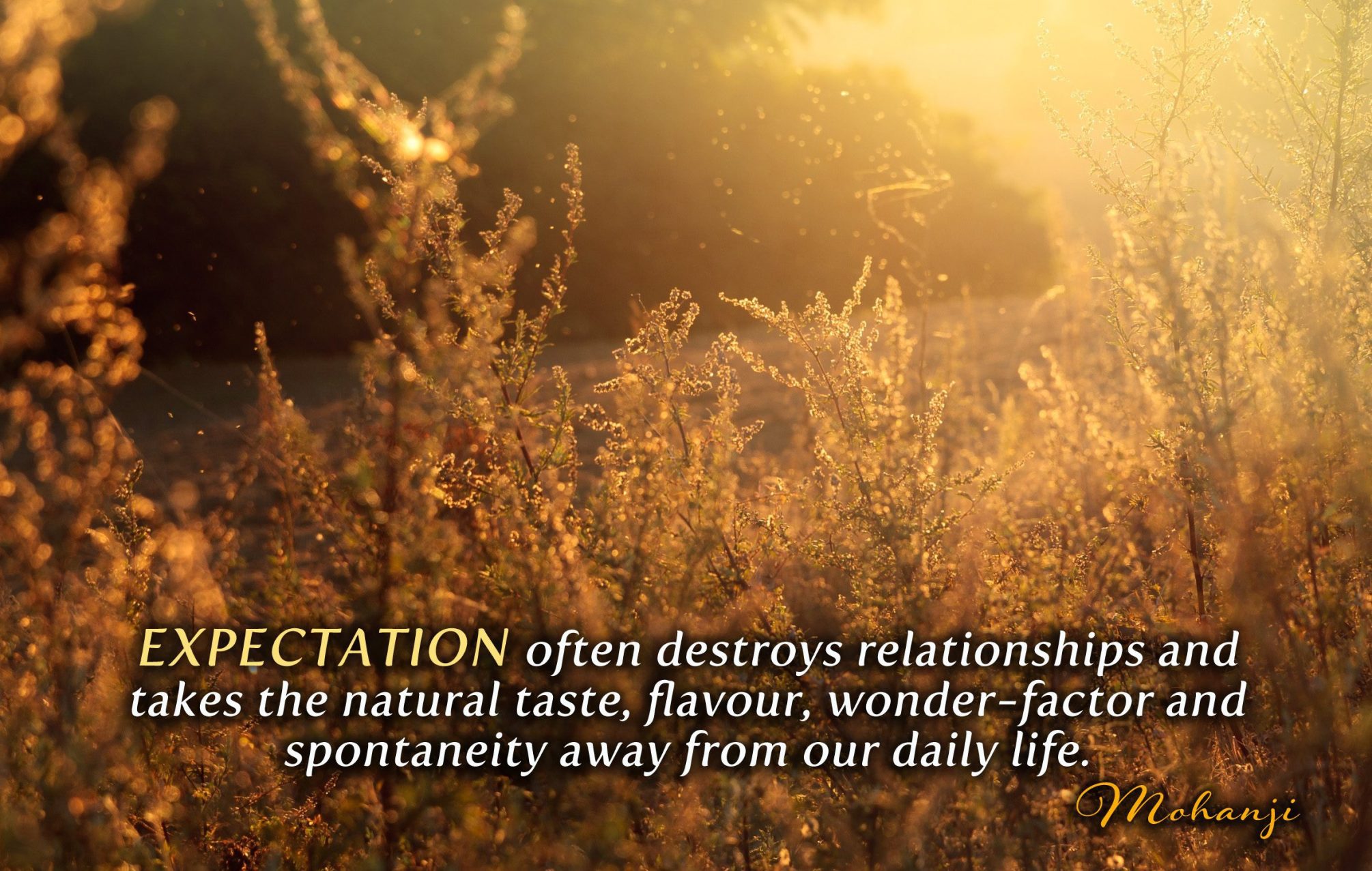 expectations