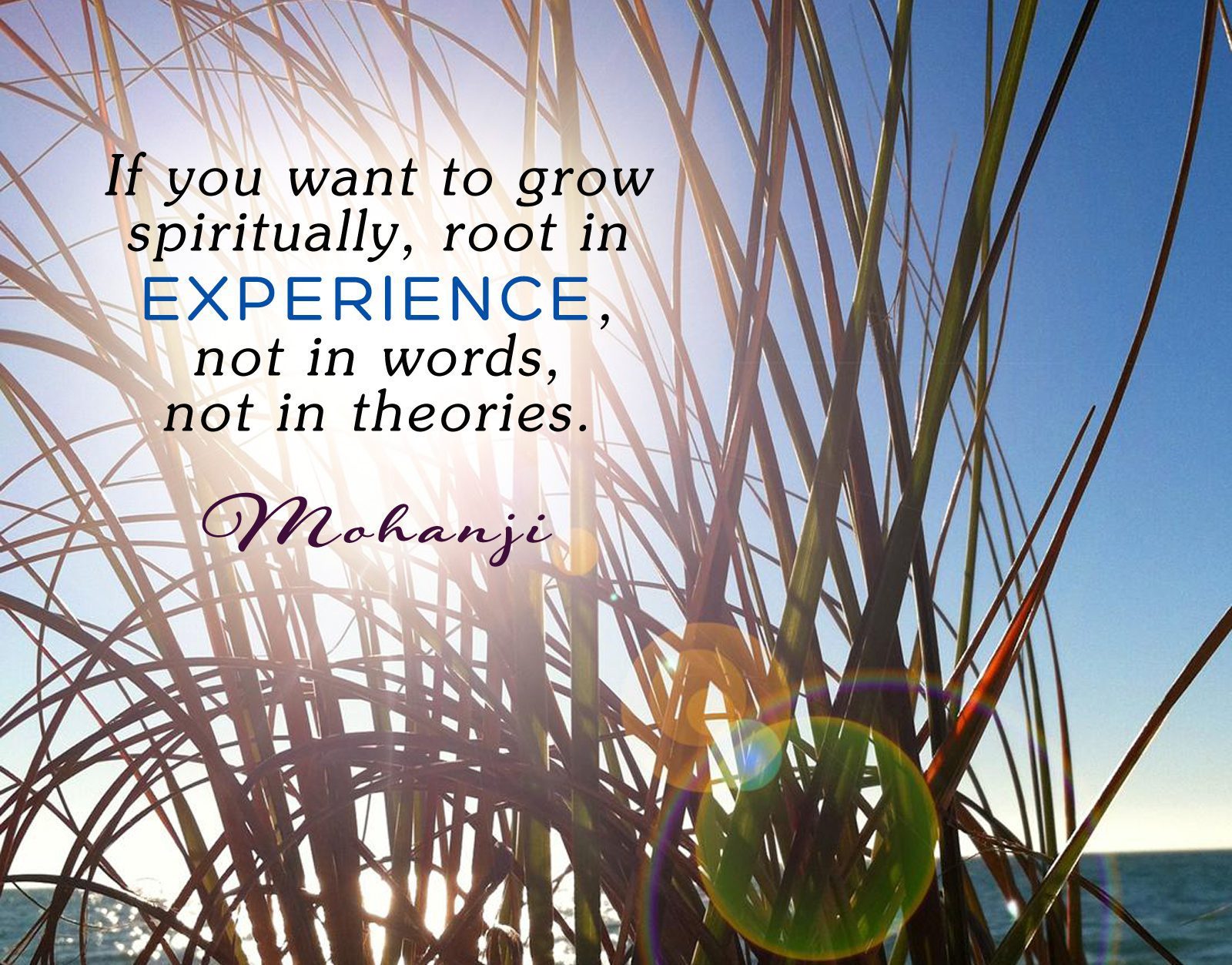 experience