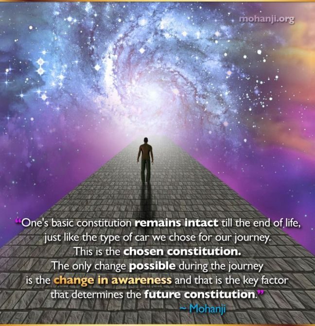 constitution